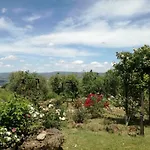 Rocca Fiorita Orvieto