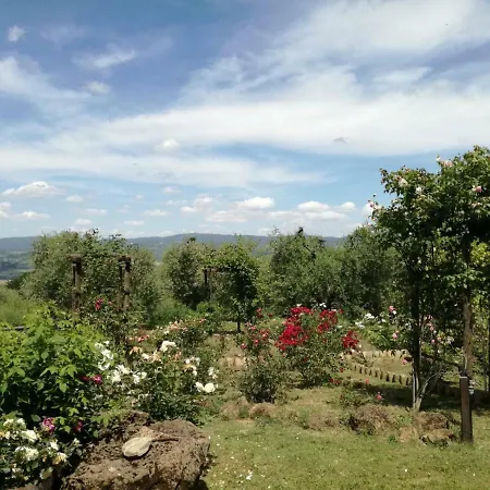 Rocca Fiorita Orvieto