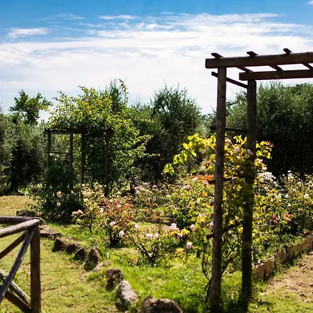 Rocca Fiorita Gæstehus