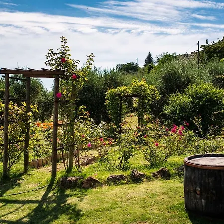 Rocca Fiorita 4* Orvieto