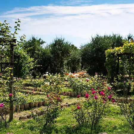 Rocca Fiorita Pensión Orvieto