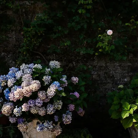 Rocca Fiorita Gæstehus Orvieto