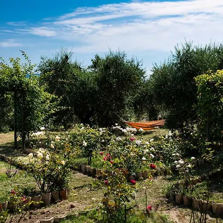 Rocca Fiorita