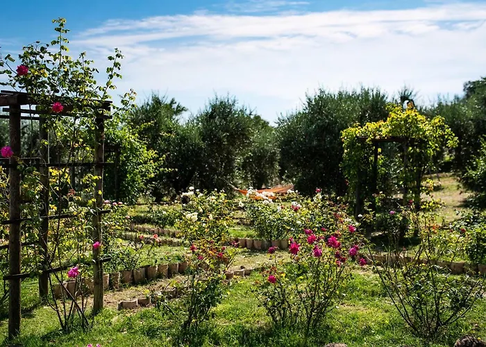Rocca Fiorita Affittacamere Orvieto